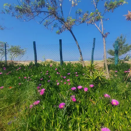 Διαμέρισμα Doukas By The Sea-little Paradise-beachfront *
