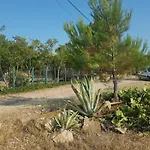 Doukas By The Sea-little Paradise-beachfront アパート *