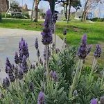 Doukas By The Sea-little Paradise-beachfront アパート