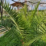 Doukas By The Sea-little Paradise-beachfront * Skála Marión