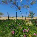 Doukas By The Sea-little Paradise-beachfront *