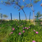 アパート Doukas By The Sea-little Paradise-beachfront *