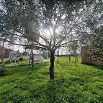 アパート Doukas By The Sea-little Paradise-beachfront *