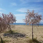 Doukas By The Sea-little Paradise-beachfront アパート *