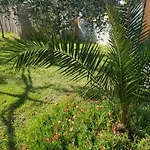 Doukas By The Sea-little Paradise-beachfront * Skála Marión