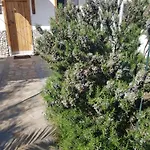 Doukas By The Sea-little Paradise-beachfront * Skála Marión