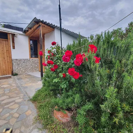 Doukas By The Sea-little Paradise-beachfront Appartement Skála Marión