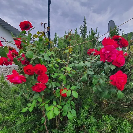 Doukas By The Sea-little Paradise-beachfront * Skála Marión