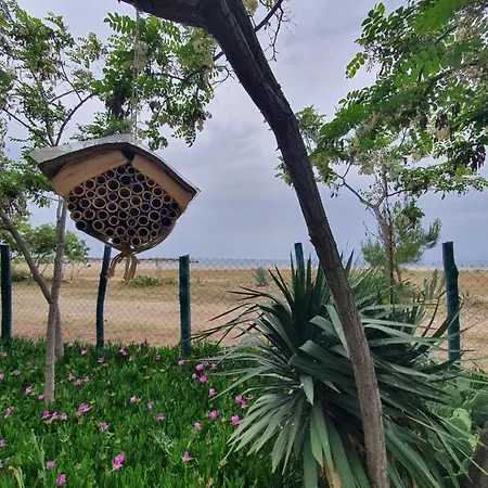 Doukas By The Sea-little Paradise-beachfront * Skála Marión