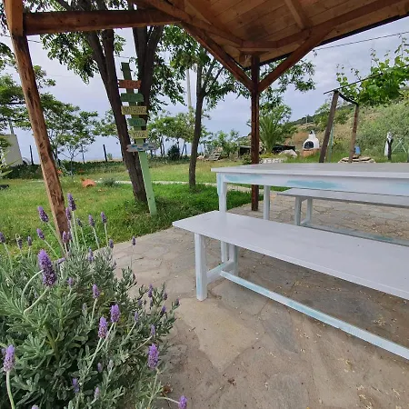 Doukas By The Sea-little Paradise-beachfront *