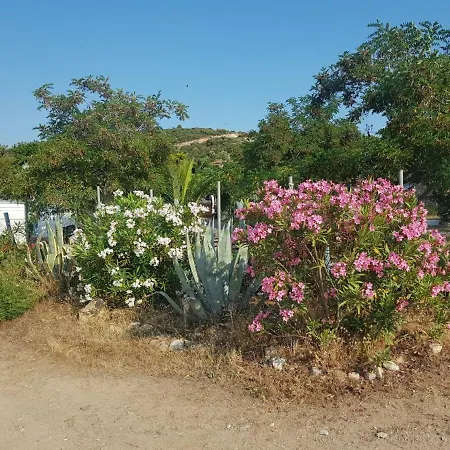 Doukas By The Sea-little Paradise-beachfront Appartement *