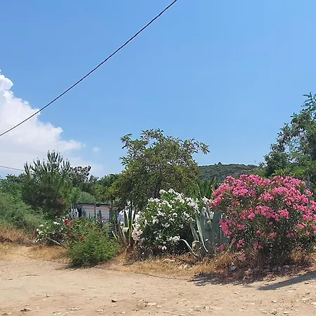 Doukas By The Sea-little Paradise-beachfront *