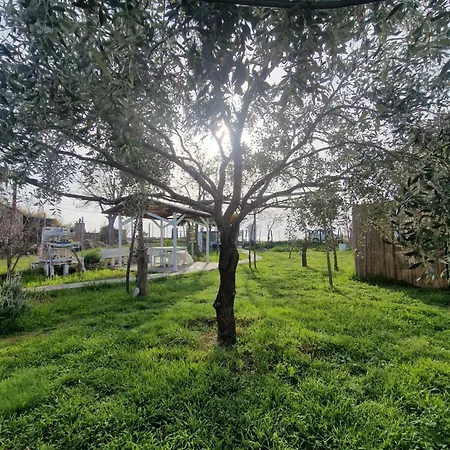 Appartement Doukas By The Sea-little Paradise-beachfront *