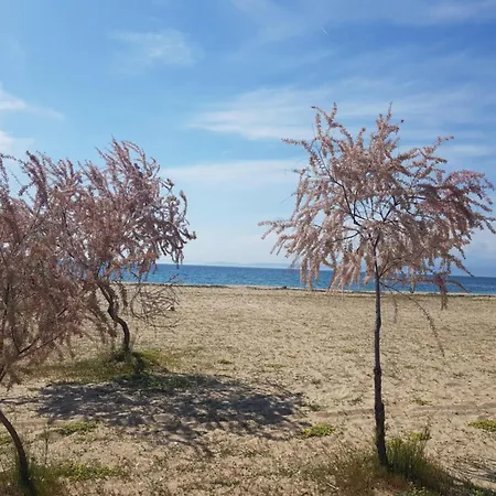 Doukas By The Sea-little Paradise-beachfront Apartment *