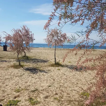 Lägenhet Doukas By The Sea-little Paradise-beachfront