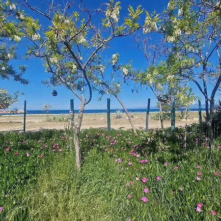 Apartman Doukas By The Sea-little Paradise-beachfront