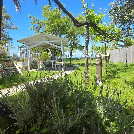 Doukas By The Sea-little Paradise-beachfront * Skala Marion