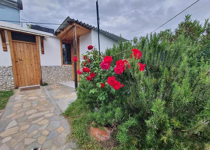 Doukas By The Sea-little Paradise-beachfront Apartment Skala Marion