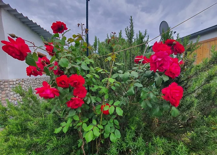 Doukas By The Sea-little Paradise-beachfront * Skala Marion