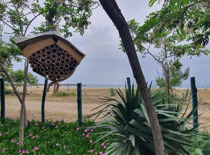 Doukas By The Sea-little Paradise-beachfront * Skála Marión