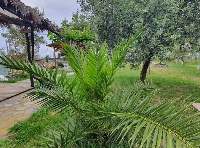 Διαμέρισμα Doukas By The Sea-little Paradise-beachfront