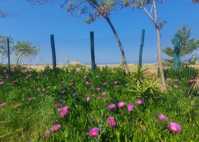 Apartment Doukas By The Sea-little Paradise-beachfront *