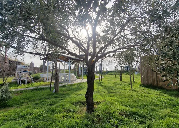 Apartment Doukas By The Sea-little Paradise-beachfront *