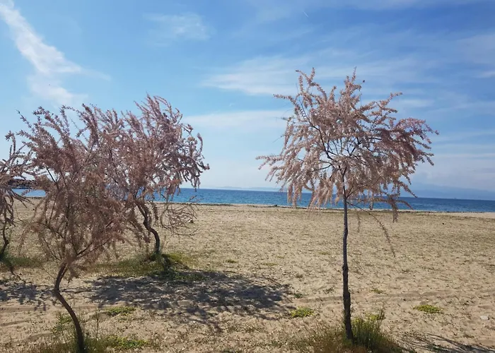 Doukas By The Sea-little Paradise-beachfront Apartment *