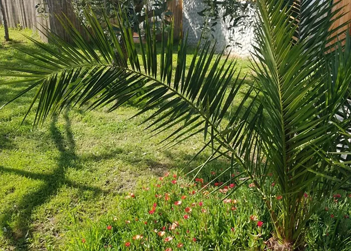 Doukas By The Sea-little Paradise-beachfront * Skala Marion