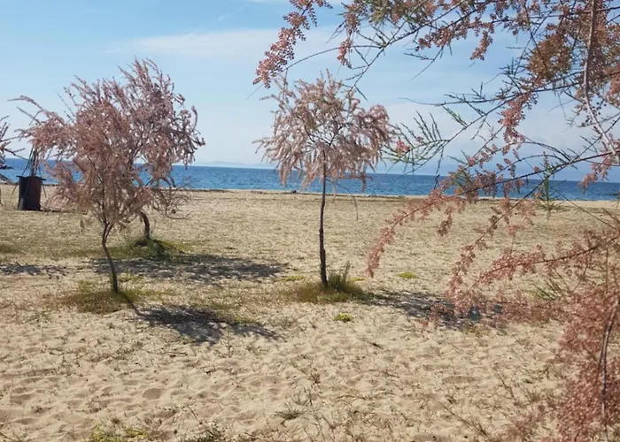 Διαμέρισμα Doukas By The Sea-little Paradise-beachfront