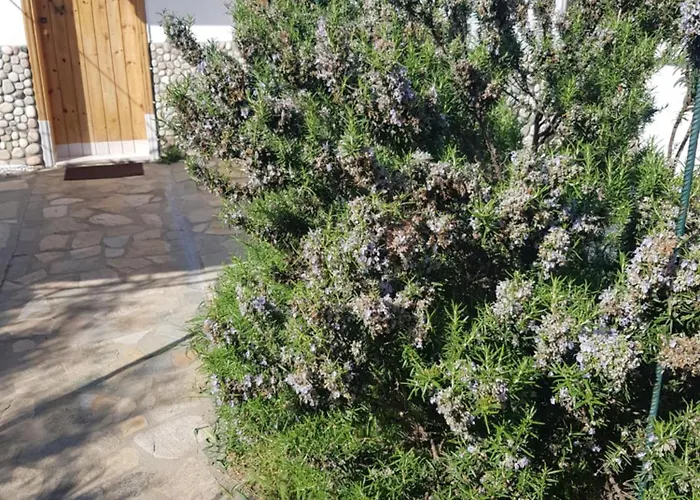 Doukas By The Sea-little Paradise-beachfront * Skála Marión